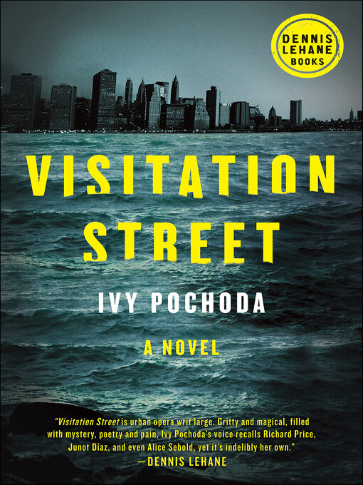 Title details for Visitation Street by Ivy Pochoda - Wait list
